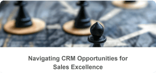Navigating CRM Opportunities for Sales Excellence